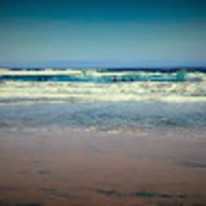 Meet your Posher, Reginald